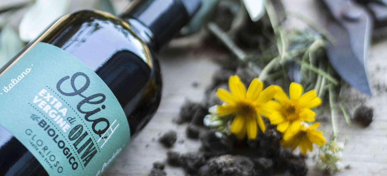 Das Premium Bio-Olivenöl wird in Aromaflaschen und auch größeren Abnahmemengen für die Gastronomie abgefüllt.
