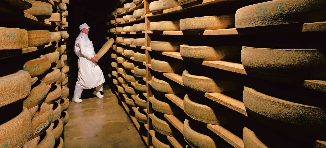 Käse: Der beste Begleiter zum Jura-Wein