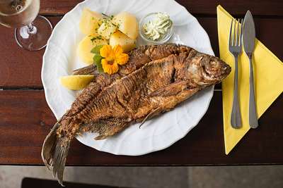 Beim »Gasthof & Hotel Luger« werden feine Fische aus der Donau serviert.
