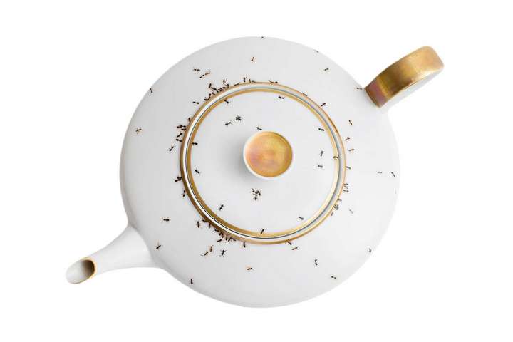 Die deutsche Künstlerin Evelyn Bracklow liebt Ameisen. Das Krabbelgetier macht sich gut auf Teekannen. laphilie.com