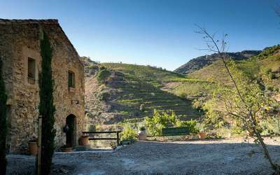 Mas de la Rosa im Priorat: 1,9 Hektar 80-jährige Reben im Besitz von Torres.