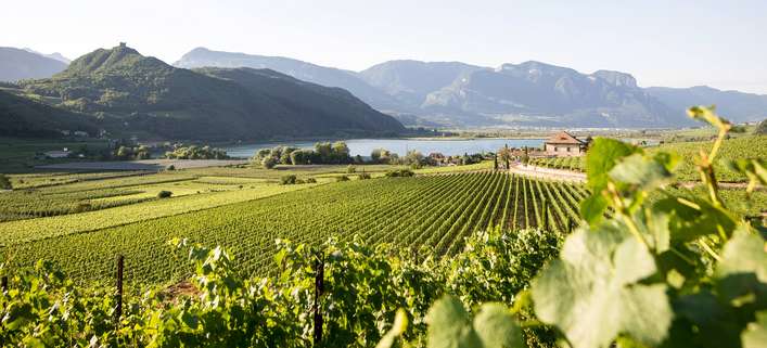 Weingenuss in den Vinum Hotels Südtirol