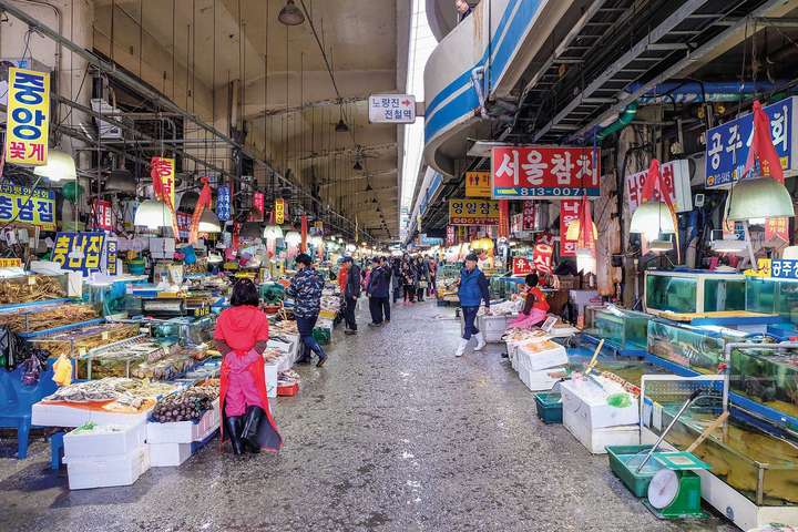 Der Noryangjin-Fischmarkt ist 24 Stunden geöffnet. / © Shutterstock
