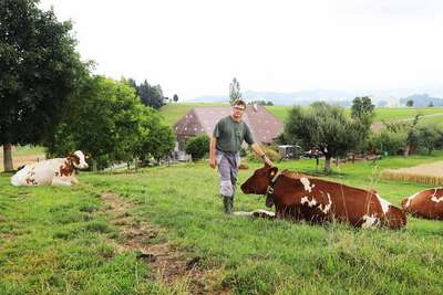 Die Emmentaler Milchbauern haben im Schnitt nur 24 Tiere.