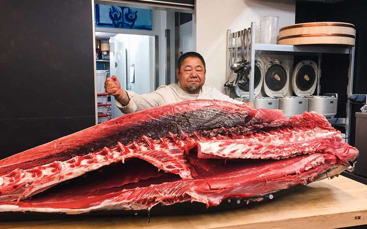 Auch im Wiener »Shiki« wird von Zeit zu Zeit Blauflossen-Thunfisch mit hohem Fettgehalt und feiner Maserung serviert.