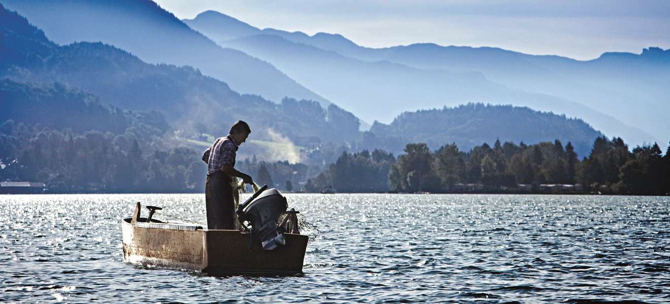 Salzburger Land: Die Fische dürfen in den Seen frei aufwachsen.