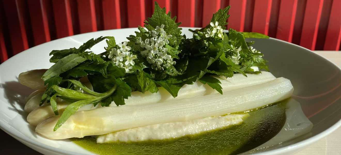 Weißer Spargel aus Bürstadt | cremige Polenta | Brennnessel-Salat | Johannisholzvinaigrette