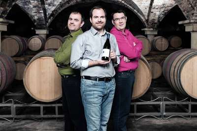 Die drei Reinisch-Brüder, vom Johanneshof Reinisch, erzeugen gleich vier verschiedene Pinot Noirs, drei aus ihren Lagen in Tattendorf – alles biologisch, versteht sich.