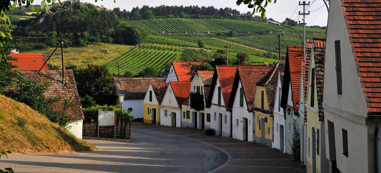 Eine typische Weinviertler Kellergasse in Falkenstein. 