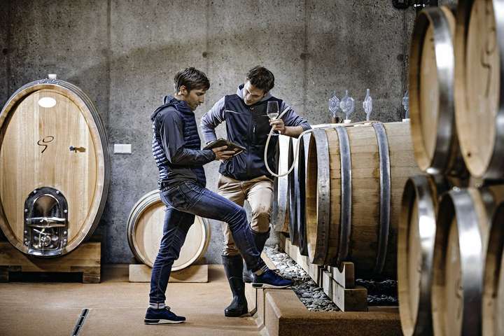 Betriebsleiter Bastian Kaltenböck (l.) und Kellermeister Christian Söll führen das Weingut in die Zukunft.