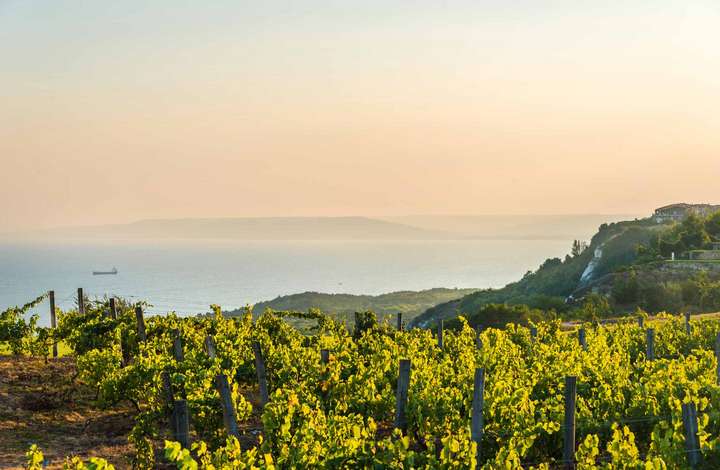 Top 10 Wein-Klassiker vom Mittelmeer