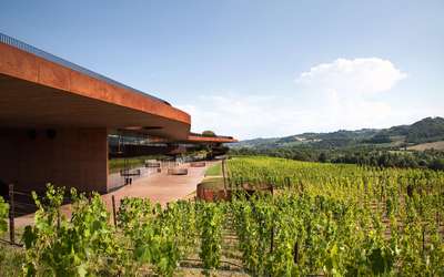 Mario und Christoph Morandell sind nicht nur als Generalimporteure der Weine von dem vielgerühmten Antinori-Gut in der Toskana erfolgreich.