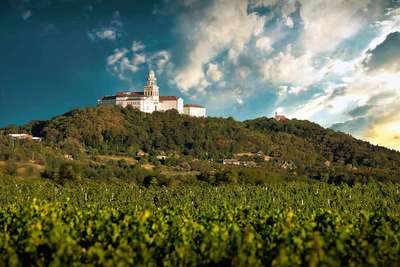 Pannonhalma ist Ungarns größtes und ältestes Kloster und erzeugt exquisite Weine.