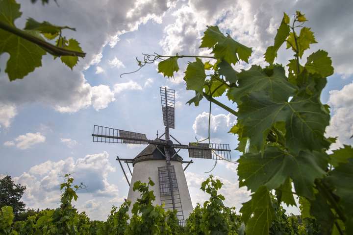 Ein Wahrzeichen des Wein­viertels ist die Retzer Windmühle.
