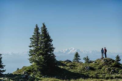 Der Mont Tendre ist die höchste Erhebung des Waadtländer Jura und nur zu Fuß zu erreichen.