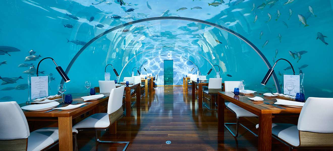 Conrad Maldives Rangali Island Muraka Ithaa Undersea Restaurant.