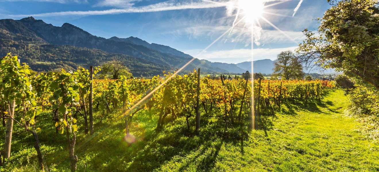 Weinregion Graubünden: Karg und stolz drauf