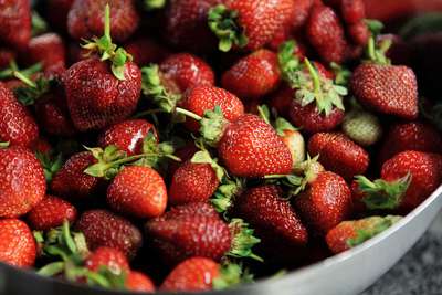 Pikanter Germknödel mit Erdbeeren