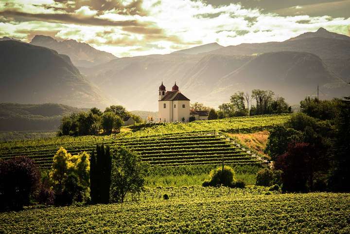 Die Kellerei St. Michael-Eppan thront inmitten der wichtigsten Weinbaugemeinde Südtirols.