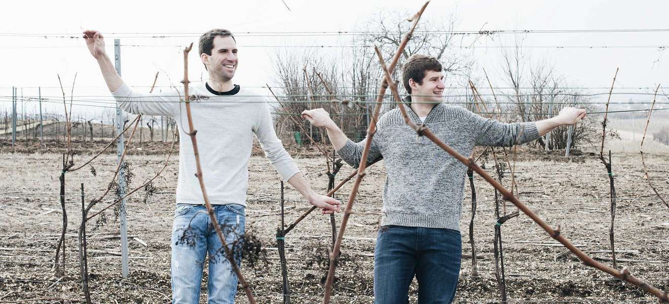 Markus und Christian Weiss beweisen mit »Native Grape« Innovationsgeist.