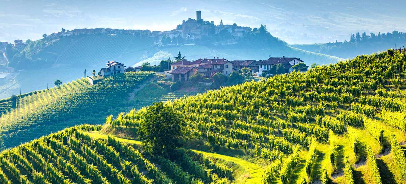Trüffel gibt es hier, Haselnüsse, Käse, Fleisch, Risotto-Reis, Barolo – und die zweithöchste Michelin-Stern-Dichte des Landes: das Piemont.