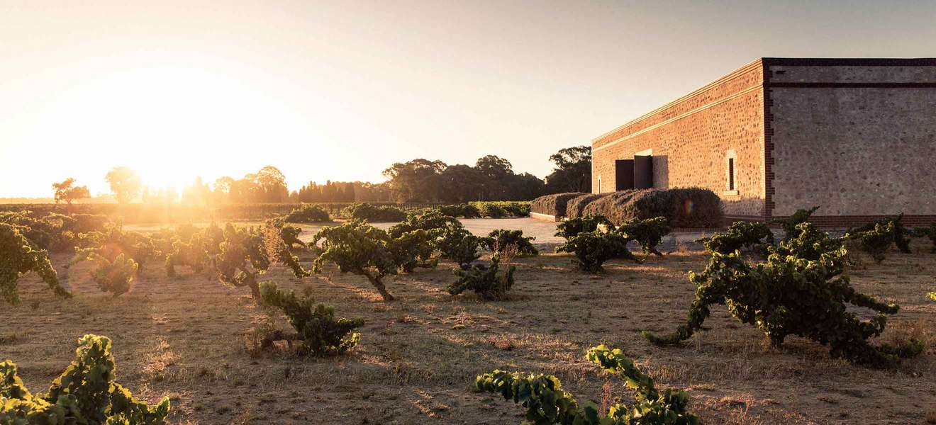 Der Name Barossa steht für Australiens berühmteste Weinbauregion. 