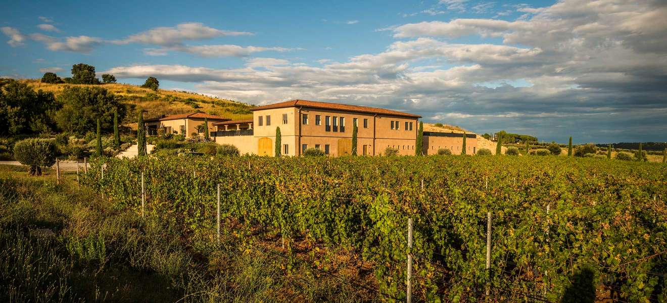 Das Weingut Monteverro in der Toskana.