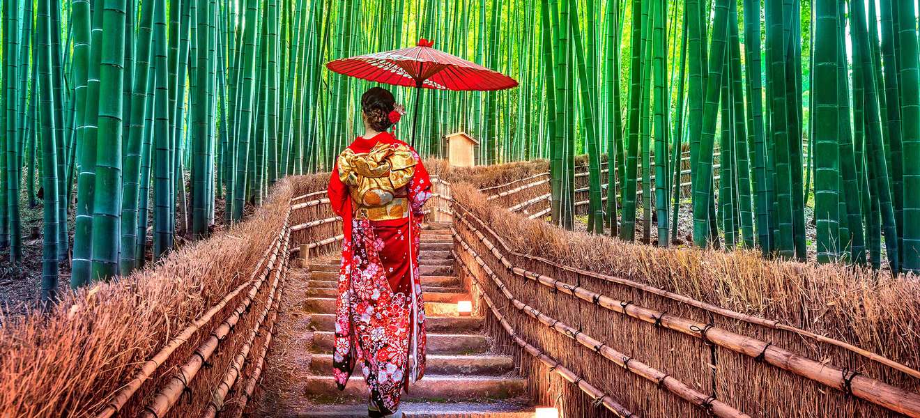 Japan, Frau im Bambuswald