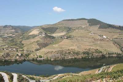 DOURO (Portugal): Der namensgebende Douro-Fluss begünstigt mit seinem Kleinklima den Weinbau östlich von Porto. Die vier Bergketten, die das Tal vor rauem Klima schützen, machen den Weinbau in der kühlen Region möglich. Es wurden Hinweise gefunden, d