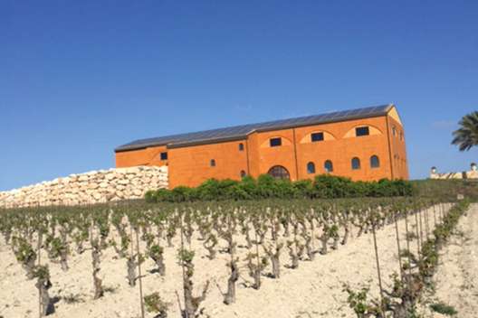 Das Weingut Feudo Maccari liegt in der Provinz Syrakus, einem der besten Weinbaugebiete Siziliens.