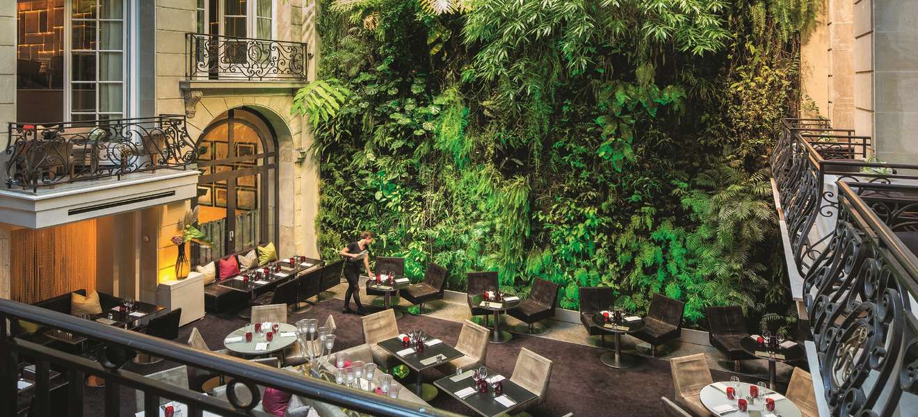 Hoch hinaus 30 Meter hoch ist die eindrucksvolle Vertical-Garden-Wand im Pariser Hotel Pershing Hall.