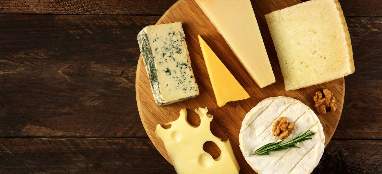 Top Online-Shops für Käse