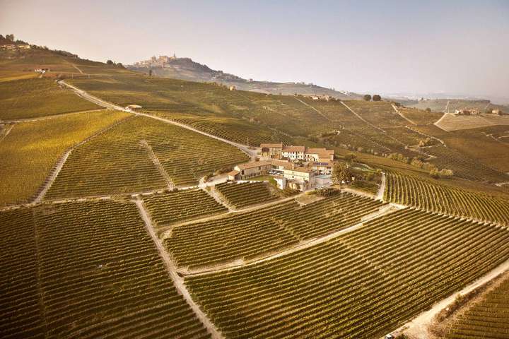 Das Weingut Michele Chiarlo gilt als eines der besten des Piemonts.