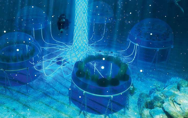 Im Projekt »Nemo’s ­Garden« wächst Gemüse in mit Luft befüllten Ballons unter ­Wasser heran.