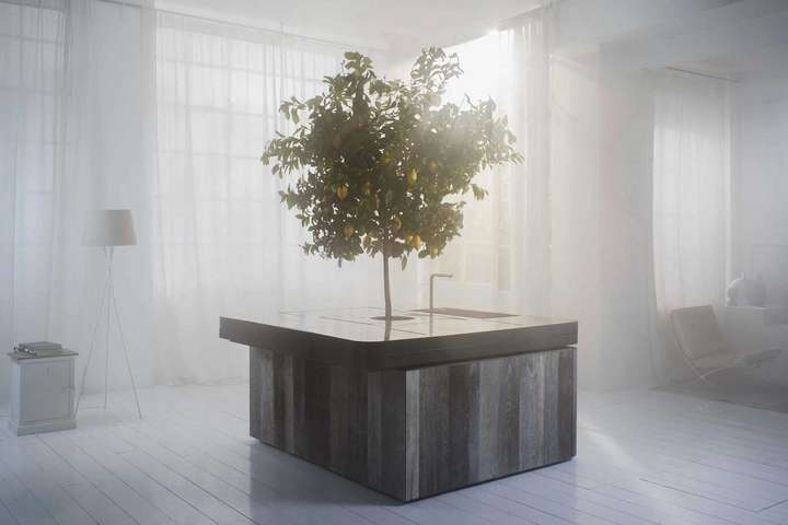 »Oasi«, eine Küche von Stefano Boeri Architetti für Aran, bringt gleich mehrere Aspekte modernen Wohnens zusammen. Denn mitten aus dem Kommunikationszentrum Kücheninsel wächst ein Baum. Und darüber lässt sich immer sprechen. arancucine.it