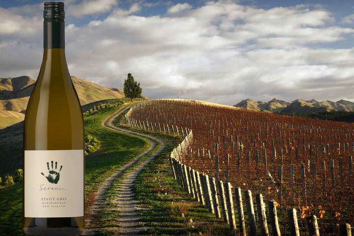 Star-Regisseur Michael Seresin setzt in Neuseeland neben Sauvignon Blanc auch auf Pinot Gris.
