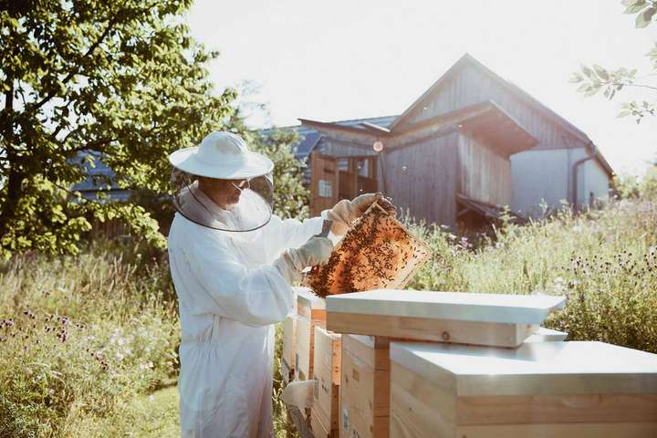 Engagierte Imker wie Ernst Brandl setzen sich mit ihrer Arbeit für die Erhaltung der Bienen ein und schaffen wertvolle Rückzugsorte.