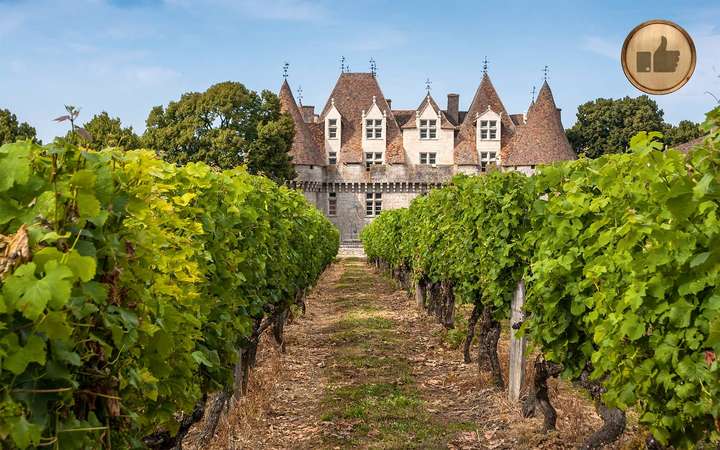 Weinbau in Monbazillac, Südwest-Frankreich: Im ganzen Land sind die Winzer enthusiastisch.
