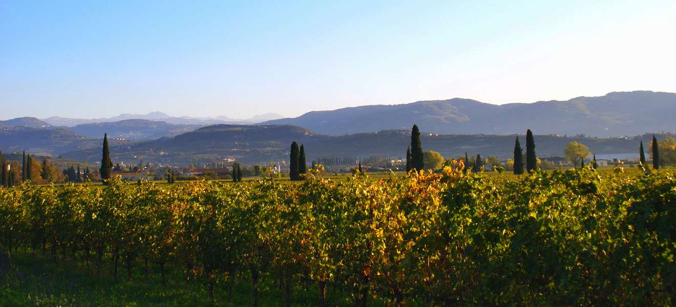 Das italienischen Weinbaugebiets Valpolicella