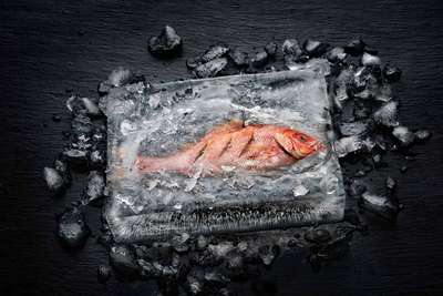 Der Fisch ist im Eis gegart, ohne dass der umgebende Eismantel geschmolzen wäre