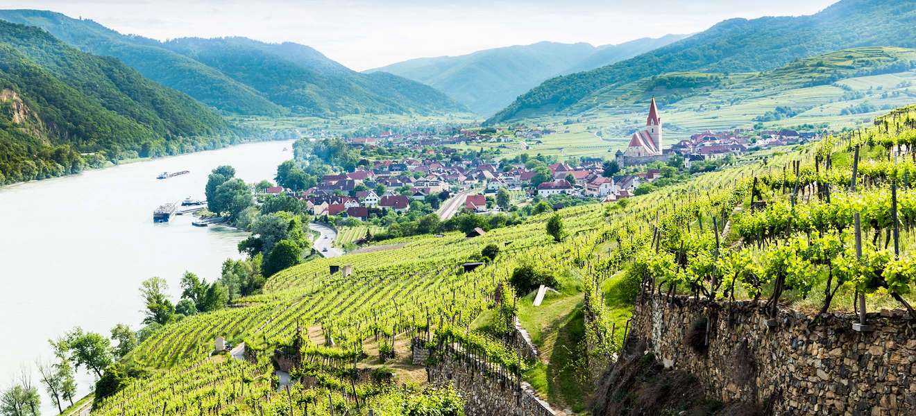 Die Wachau zählt wohl zu den bekanntesten Weinbaugebieten des Landes.