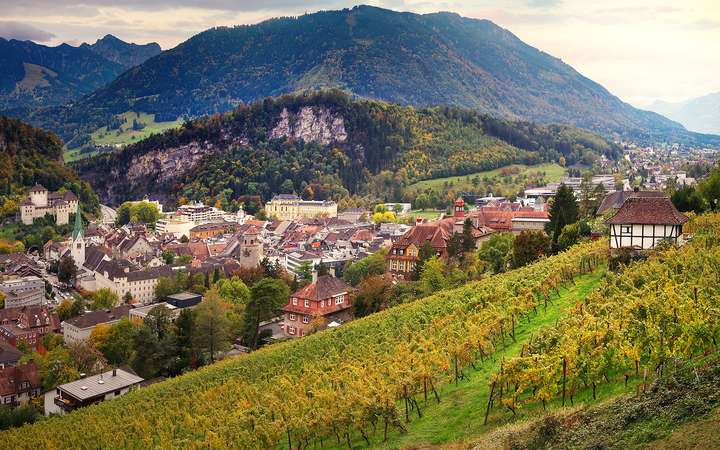 Weingärten bei Feldkirch in Vorarlberg (Bergland).