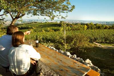Top-Ausblick: Das »Weingut Wailand« bietet nicht nur großartige Weine, sondern einen spektakulären Blick auf die Stadt.