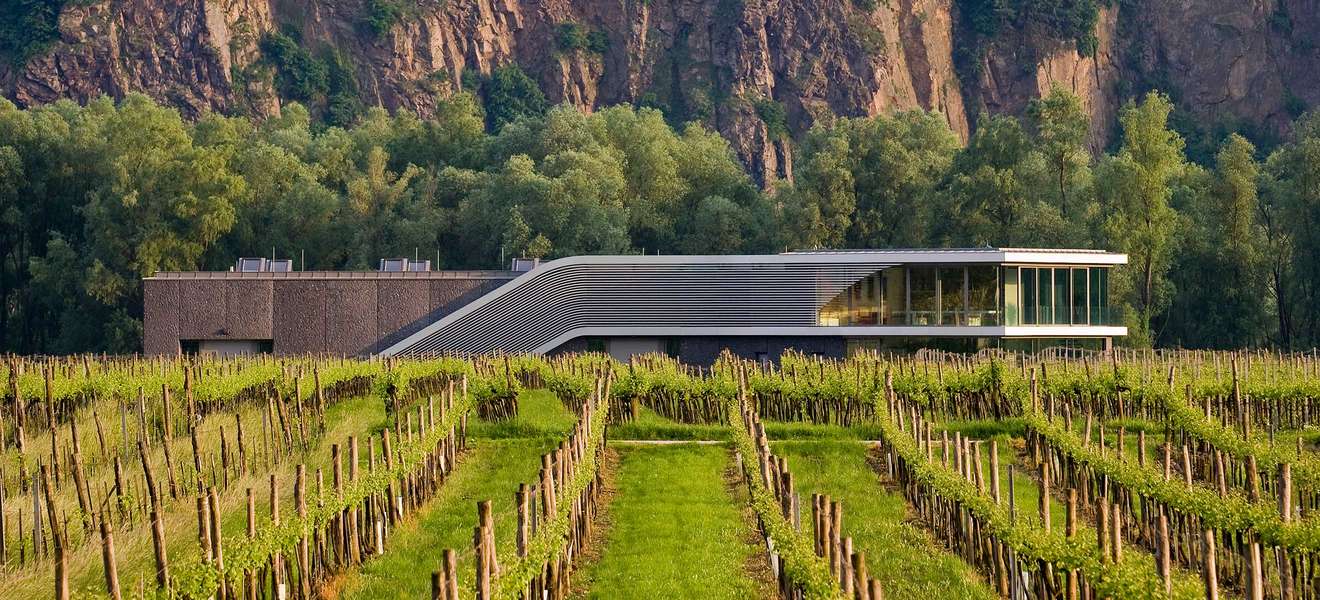 Das Weingut F.X. Pichler in der Wachau setzte gemeinsam mit architekten TAUBER neue Maßstäbe in Sachen moderne Weinbauarchitektur.