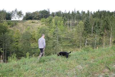 Dr. Ernst Brandl spaziert mit seinem Hund durch den nahegelegenen Wald.