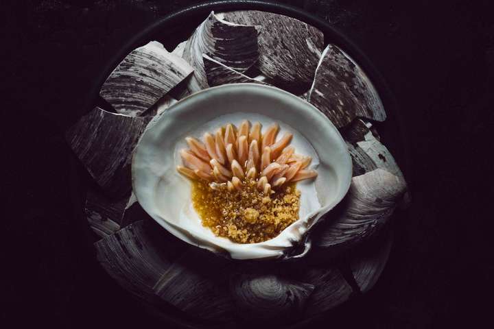 Mahagoni-Muscheln, roh, serviert mit einem Dashi norwegischer Shiitake-Pilze aus Telemark und Seetang.