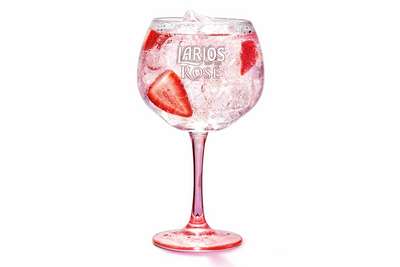 Pink Gin: Mit Erdbeeren begann in Spanien alles.