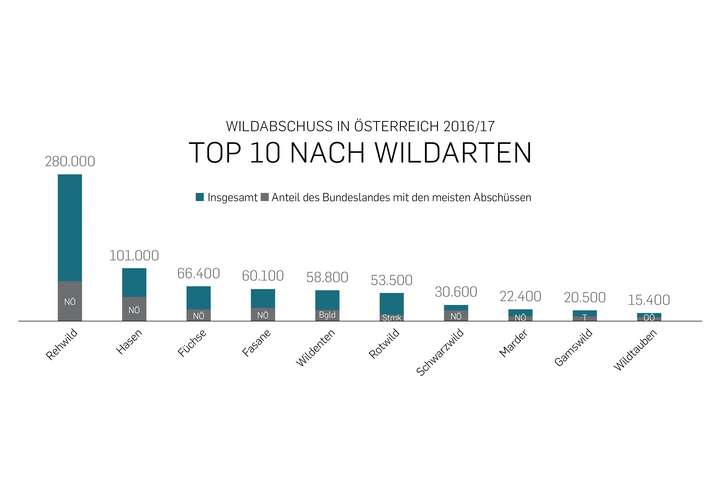 Beliebtesten Wildabschuss arten in Österreich.