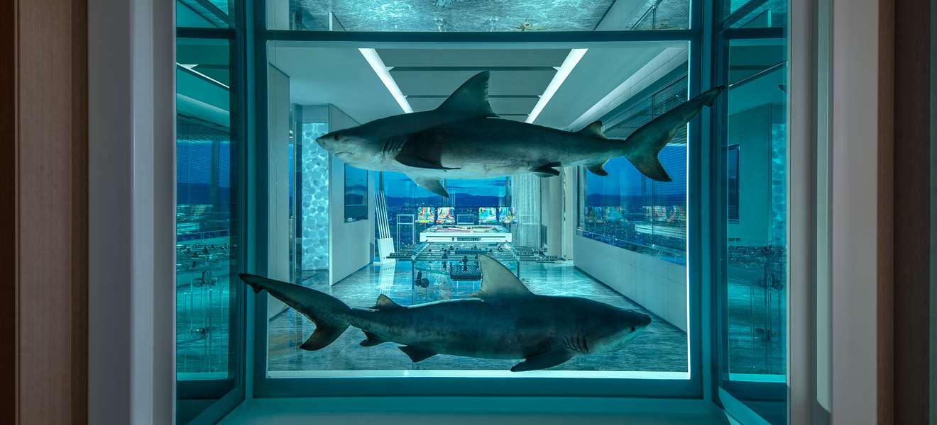 Zwei in Formaldehyd eingelegte Haie zieren den «Gaming Room» der Empathy Suite. 