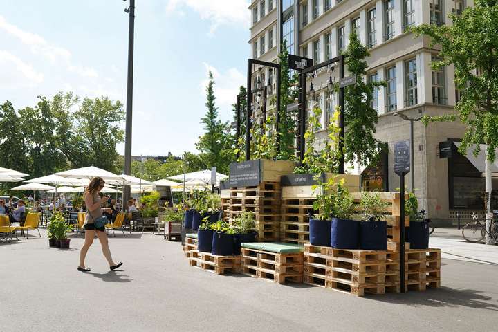 Urban Farming für die Zukunft: In der Europaallee mitten in der Stadt hat FOOD ZURICH einen Gemüse-Stadt-Garten aufgebaut.
